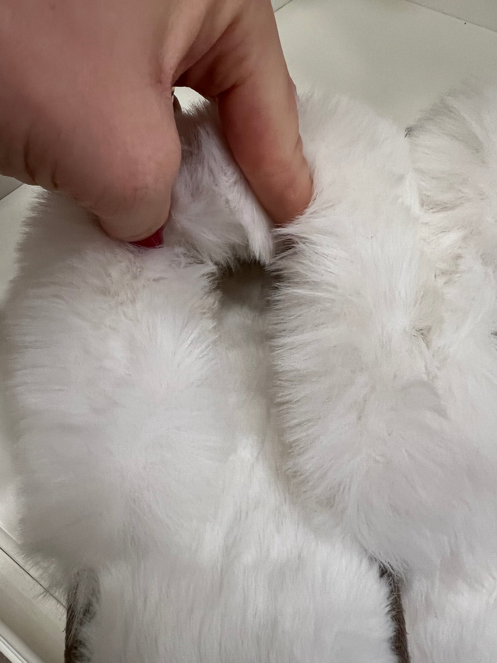 Pantofole con pelliccia interna