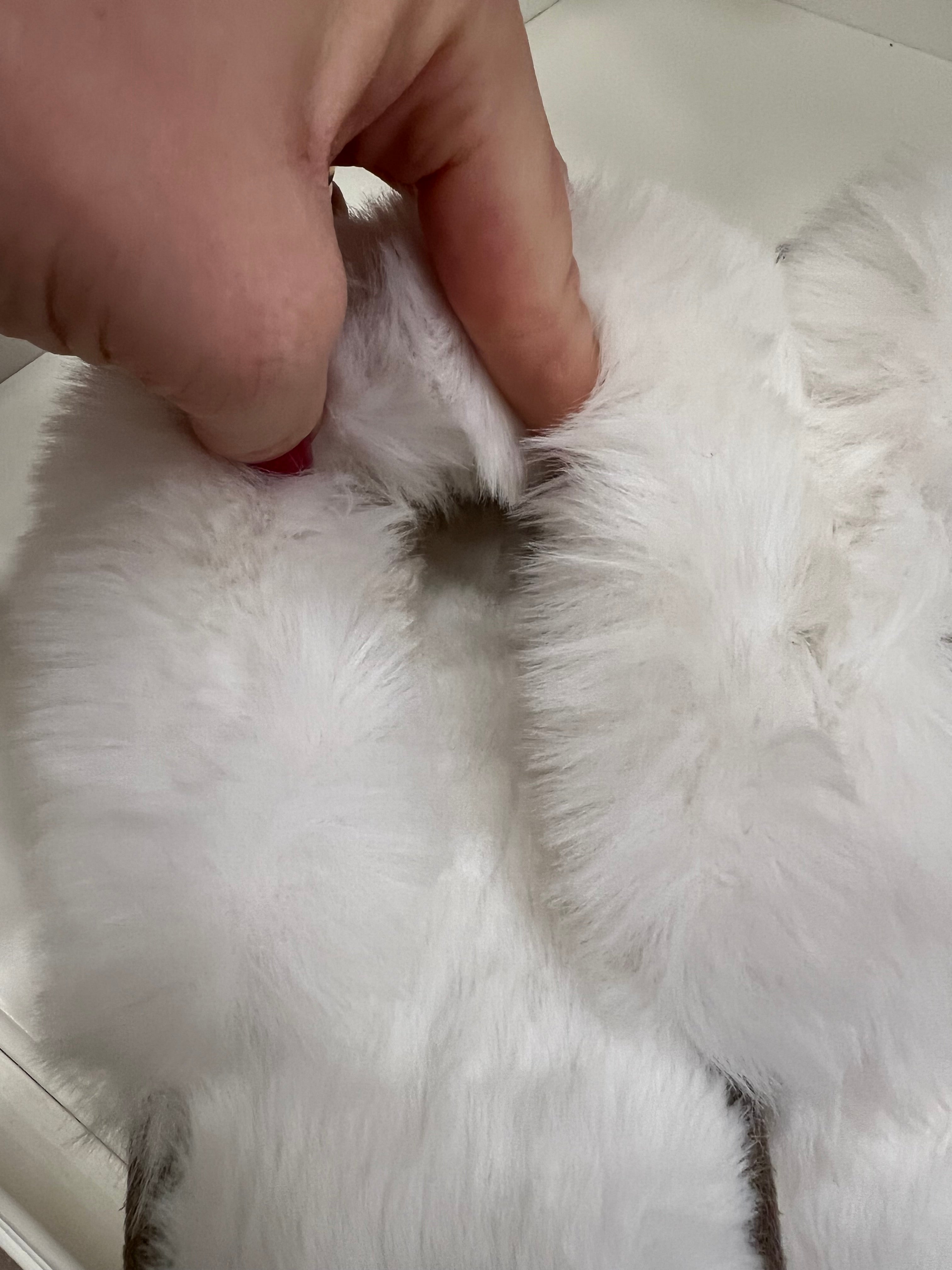 Pantofole con pelliccia interna