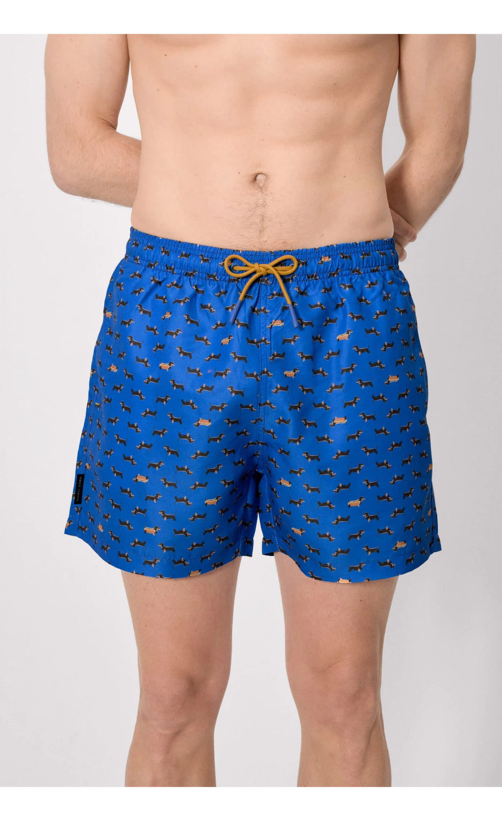 Costume uomo Bassotto
